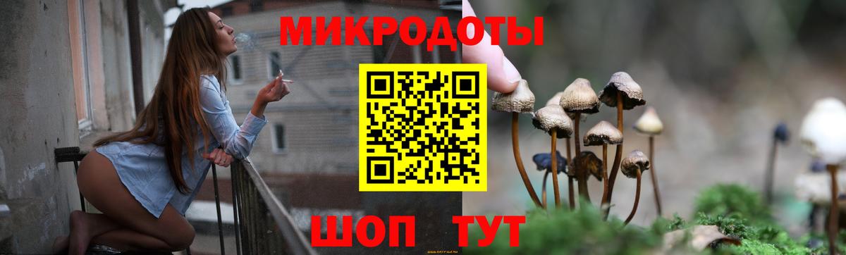 Алатырь  Псилоцибиновые грибы GOLDEN TEACHER  Вход с VPN 