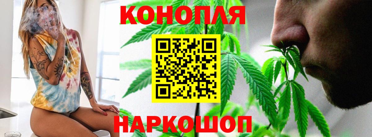 Бошки марихуана гибрид  Бошки Шишки индика  Алатырь  Конопля планчик  Бошки Шишки конопля  Вход с VPN 